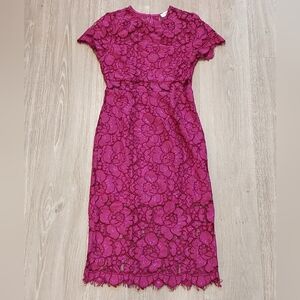 Fuscia Floral Lace Sheath Dress